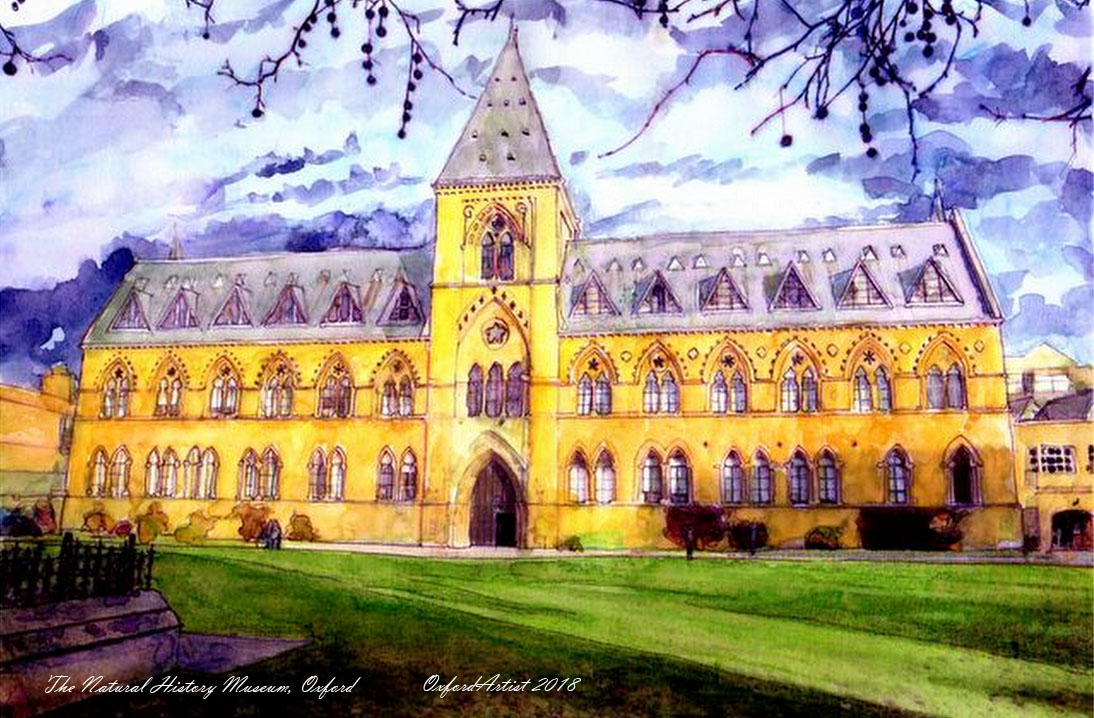 The Nat History Museum Oxford 1000x700 cc